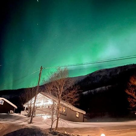 Hundbergan Apartment-Free Parking-15 Min From Tromso Tromsdalen 外观 照片