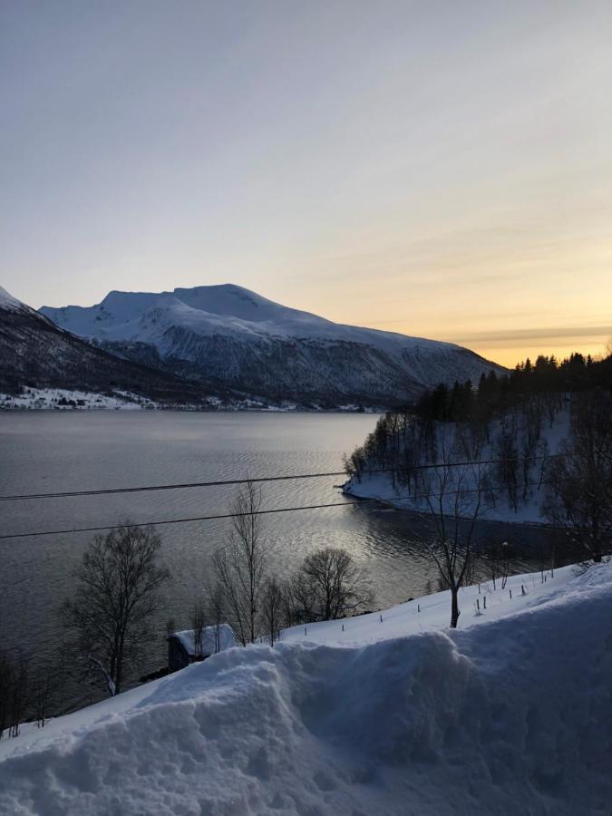 Hundbergan Apartment-Free Parking-15 Min From Tromso Tromsdalen 外观 照片
