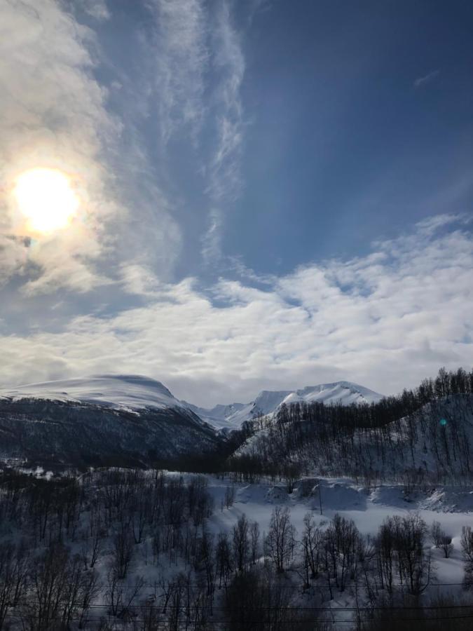 Hundbergan Apartment-Free Parking-15 Min From Tromso Tromsdalen 外观 照片