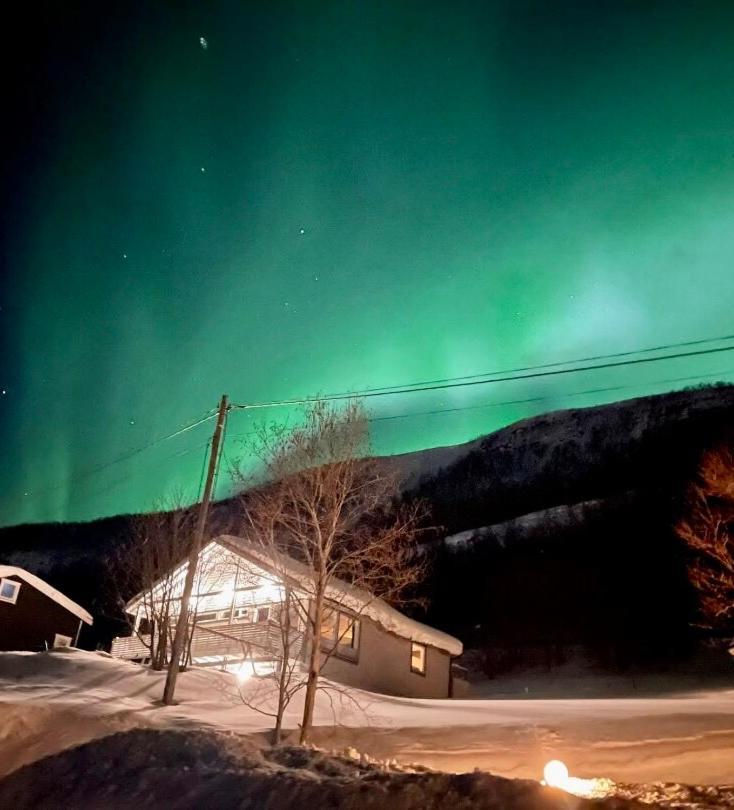 Hundbergan Apartment-Free Parking-15 Min From Tromso Tromsdalen 外观 照片